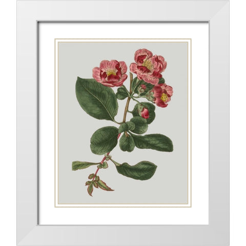 Floral Gems I White Modern Wood Framed Art Print with Double Matting by Vision Studio