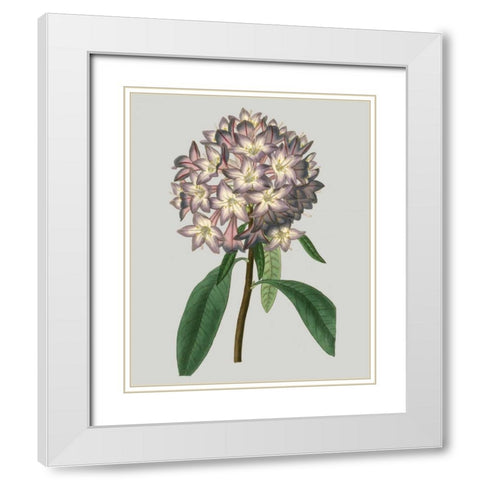 Floral Gems V White Modern Wood Framed Art Print with Double Matting by Vision Studio