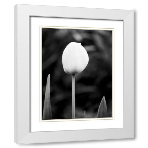 Floral Portrait III White Modern Wood Framed Art Print with Double Matting by Pica, Jeff