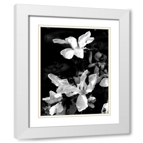 Floral Portrait VI White Modern Wood Framed Art Print with Double Matting by Pica, Jeff