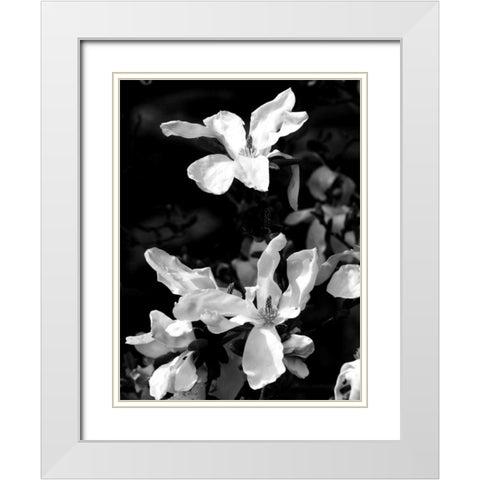 Floral Portrait VI White Modern Wood Framed Art Print with Double Matting by Pica, Jeff