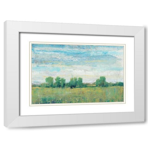 Splendor in Spring I White Modern Wood Framed Art Print with Double Matting by OToole, Tim