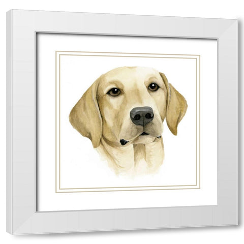 Humans Best Friend I White Modern Wood Framed Art Print with Double Matting by Popp, Grace