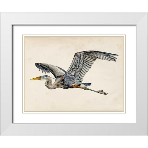 Blue Heron Rendering III White Modern Wood Framed Art Print with Double Matting by Wang, Melissa