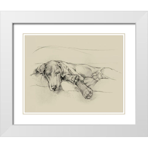 Dog Days II White Modern Wood Framed Art Print with Double Matting by Harper, Ethan