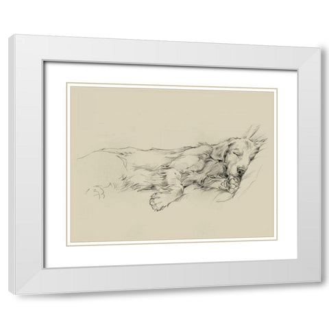 Dog Days III White Modern Wood Framed Art Print with Double Matting by Harper, Ethan