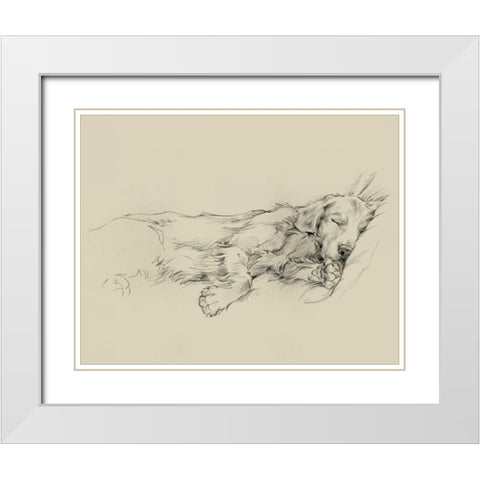 Dog Days III White Modern Wood Framed Art Print with Double Matting by Harper, Ethan