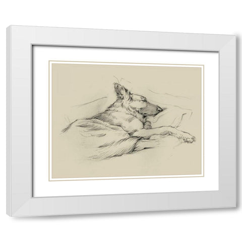 Dog Days IV White Modern Wood Framed Art Print with Double Matting by Harper, Ethan