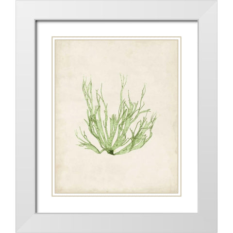Peridot Seaweed IV White Modern Wood Framed Art Print with Double Matting by Vision Studio