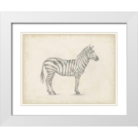Zebra Sketch White Modern Wood Framed Art Print with Double Matting by Harper, Ethan
