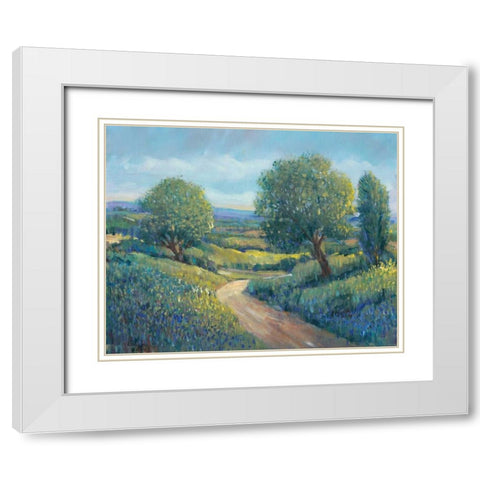 Country Sentrees II White Modern Wood Framed Art Print with Double Matting by OToole, Tim