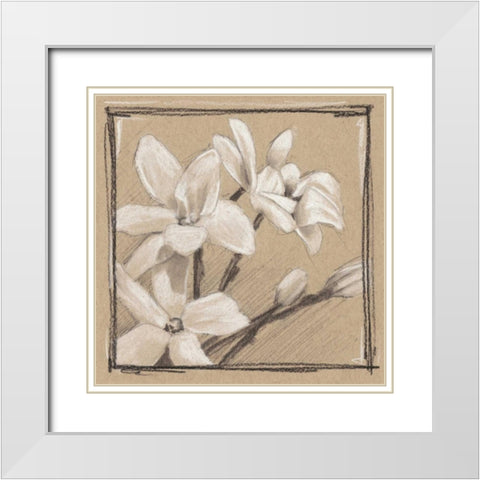 White Floral Study III White Modern Wood Framed Art Print with Double Matting by Harper, Ethan