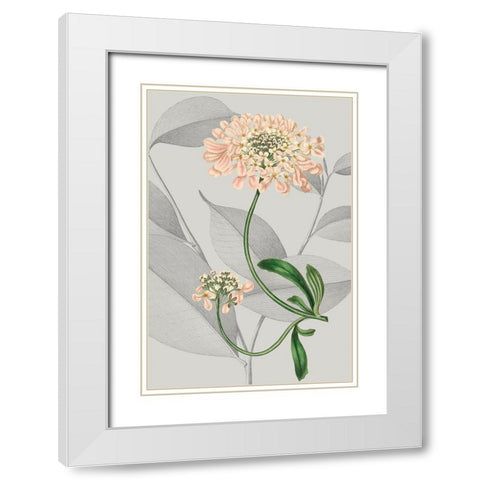 Botanical Arrangement I White Modern Wood Framed Art Print with Double Matting by Vision Studio