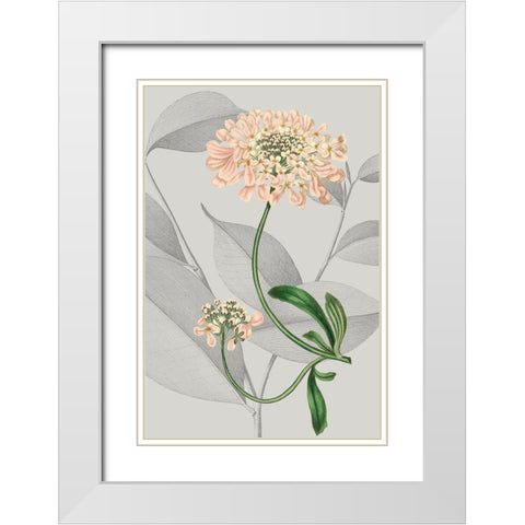Botanical Arrangement I White Modern Wood Framed Art Print with Double Matting by Vision Studio