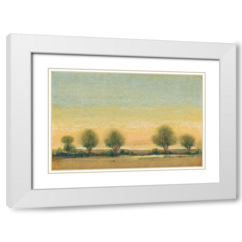 Morning Sun II White Modern Wood Framed Art Print with Double Matting by OToole, Tim