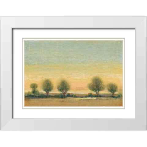 Morning Sun II White Modern Wood Framed Art Print with Double Matting by OToole, Tim