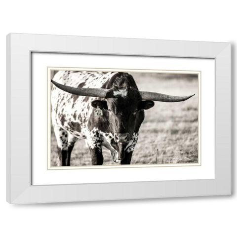 Longhorn Portrait White Modern Wood Framed Art Print with Double Matting by Stockton, Tyler
