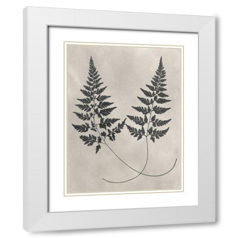 Vintage Fern Study I White Modern Wood Framed Art Print with Double Matting by Vision Studio