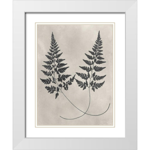 Vintage Fern Study I White Modern Wood Framed Art Print with Double Matting by Vision Studio