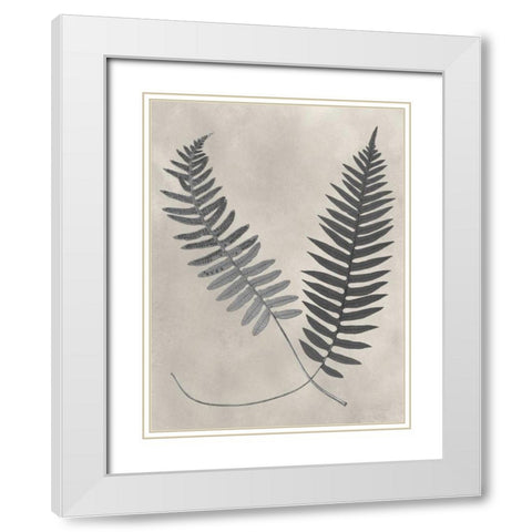 Vintage Fern Study III White Modern Wood Framed Art Print with Double Matting by Vision Studio