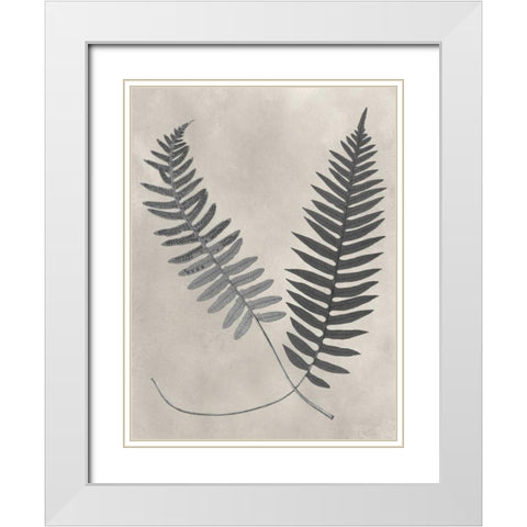 Vintage Fern Study III White Modern Wood Framed Art Print with Double Matting by Vision Studio