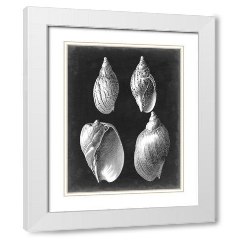 Alabaster Shells III White Modern Wood Framed Art Print with Double Matting by Vision Studio