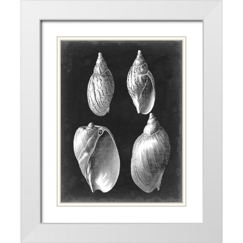 Alabaster Shells III White Modern Wood Framed Art Print with Double Matting by Vision Studio