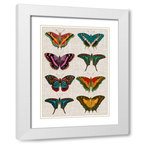 Polychrome Butterflies II White Modern Wood Framed Art Print with Double Matting by Vision Studio