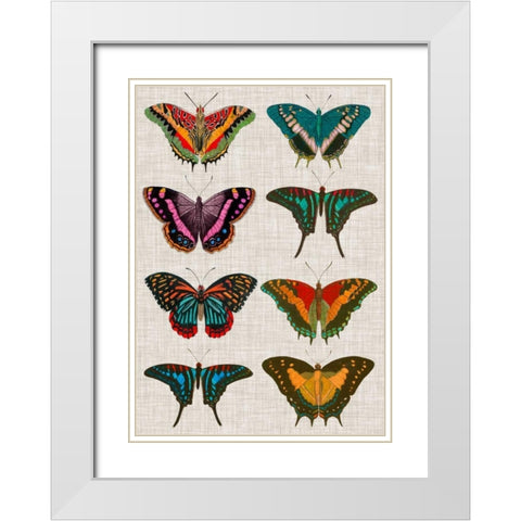Polychrome Butterflies II White Modern Wood Framed Art Print with Double Matting by Vision Studio