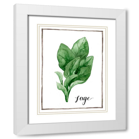 Watercolor Herbs VI White Modern Wood Framed Art Print with Double Matting by Popp, Grace