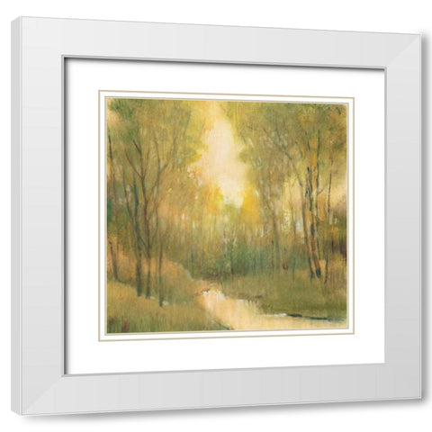 Forest Sanctuary I White Modern Wood Framed Art Print with Double Matting by OToole, Tim
