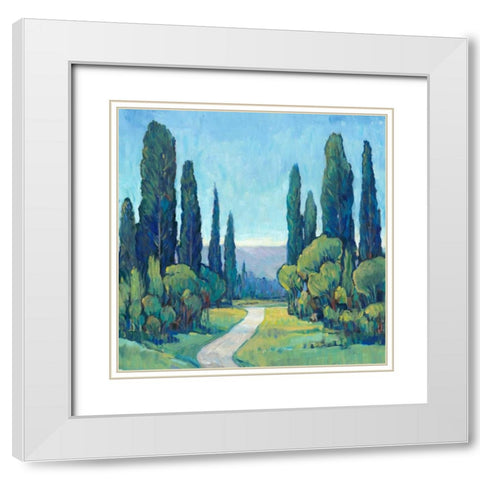 Cypress Path I White Modern Wood Framed Art Print with Double Matting by OToole, Tim