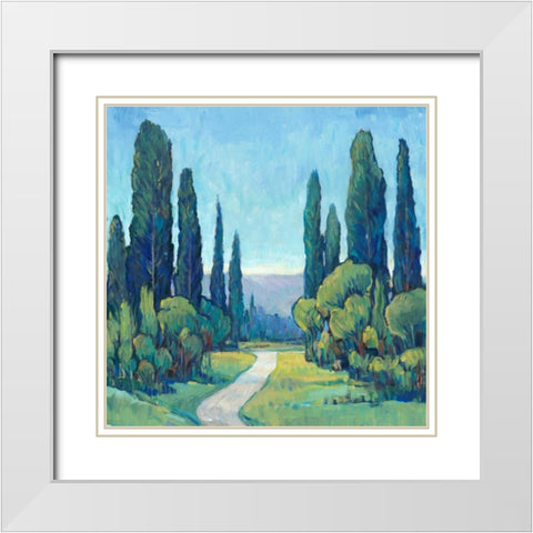 Cypress Path I White Modern Wood Framed Art Print with Double Matting by OToole, Tim