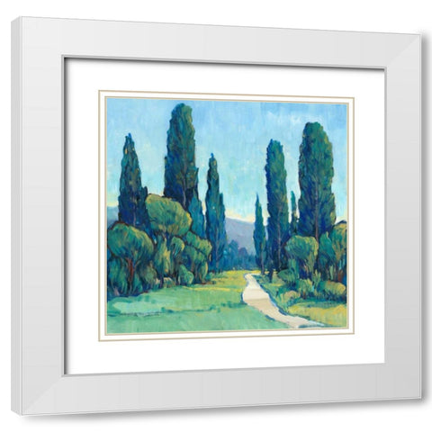 Cypress Path II White Modern Wood Framed Art Print with Double Matting by OToole, Tim