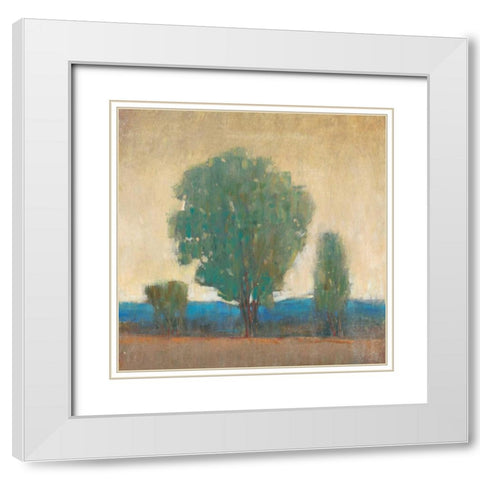 Clearing Storm I White Modern Wood Framed Art Print with Double Matting by OToole, Tim