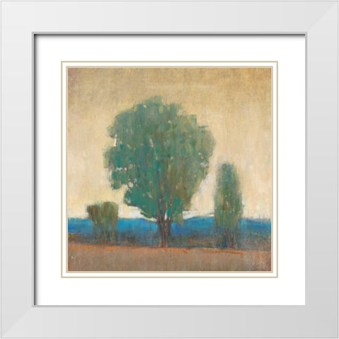 Clearing Storm I White Modern Wood Framed Art Print with Double Matting by OToole, Tim