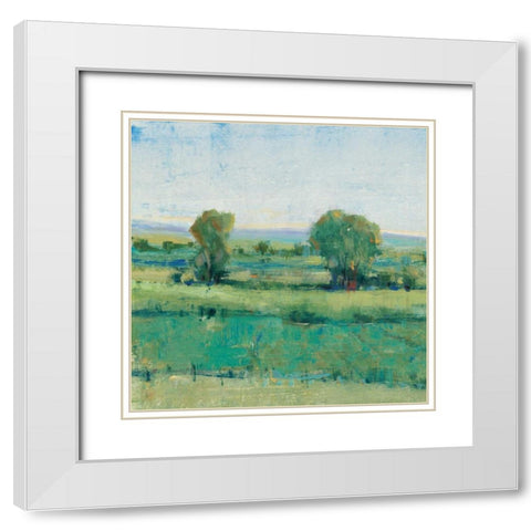 Spring Meadow I White Modern Wood Framed Art Print with Double Matting by OToole, Tim
