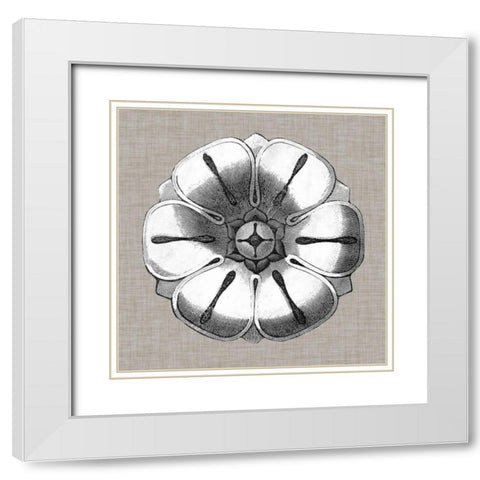 Neutral Rosette Detail I White Modern Wood Framed Art Print with Double Matting by Vision Studio