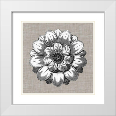 Neutral Rosette Detail IV White Modern Wood Framed Art Print with Double Matting by Vision Studio