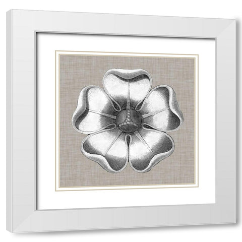 Neutral Rosette Detail VI White Modern Wood Framed Art Print with Double Matting by Vision Studio