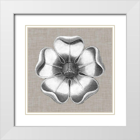 Neutral Rosette Detail VI White Modern Wood Framed Art Print with Double Matting by Vision Studio