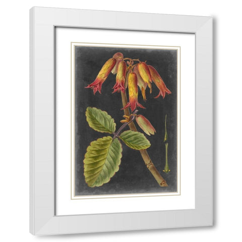 Dramatic Tropicals III White Modern Wood Framed Art Print with Double Matting by Vision Studio