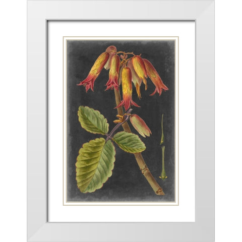 Dramatic Tropicals III White Modern Wood Framed Art Print with Double Matting by Vision Studio