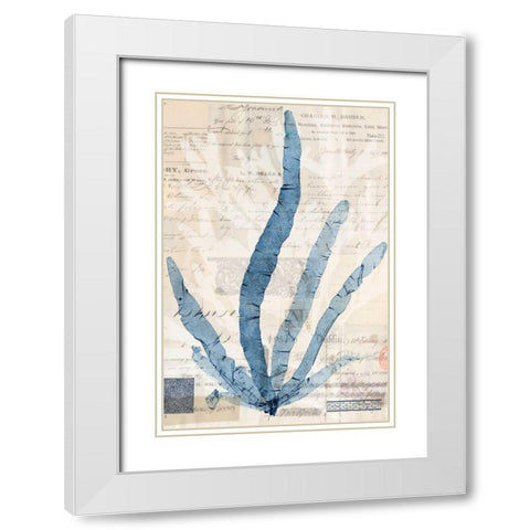 Seaweed Arrangement II White Modern Wood Framed Art Print with Double Matting by Vision Studio
