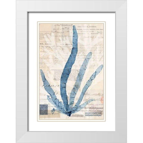 Seaweed Arrangement II White Modern Wood Framed Art Print with Double Matting by Vision Studio