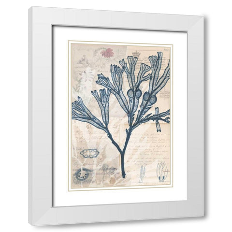 Seaweed Arrangement III White Modern Wood Framed Art Print with Double Matting by Vision Studio