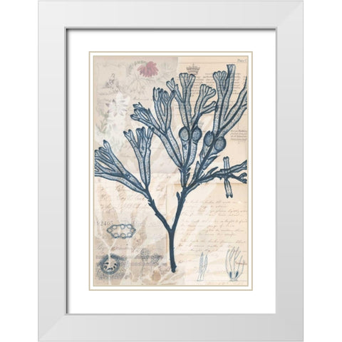 Seaweed Arrangement III White Modern Wood Framed Art Print with Double Matting by Vision Studio