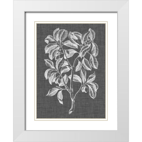 Graphic Foliage I White Modern Wood Framed Art Print with Double Matting by Vision Studio