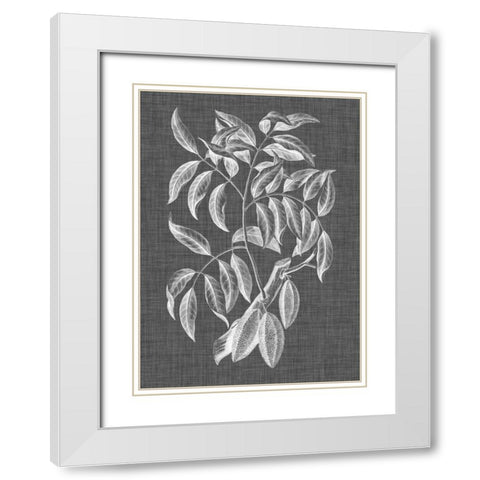 Graphic Foliage III White Modern Wood Framed Art Print with Double Matting by Vision Studio