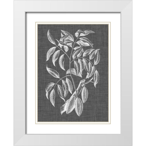 Graphic Foliage III White Modern Wood Framed Art Print with Double Matting by Vision Studio